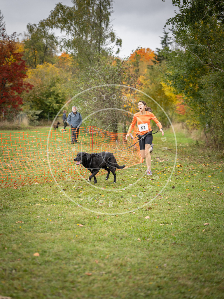 Pfotenfotografie_DV3A3073 | Hundefotografie, Tierfotograf, Pfotenfotografie, Fotoshooting Hund, Hunde Portrait, Hundesport, Hundeportraits, Heideshooting, Hunde, Sportfotograf, Hundefotograf, Turnierhundsport, THS,  - Realisiert mit Pictrs.com