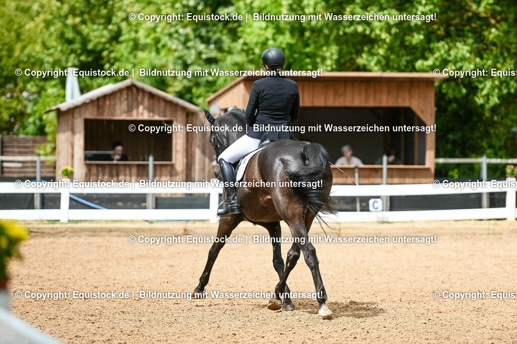 20230716_01_Dressurprüfung Kl.M_0119 | equistock