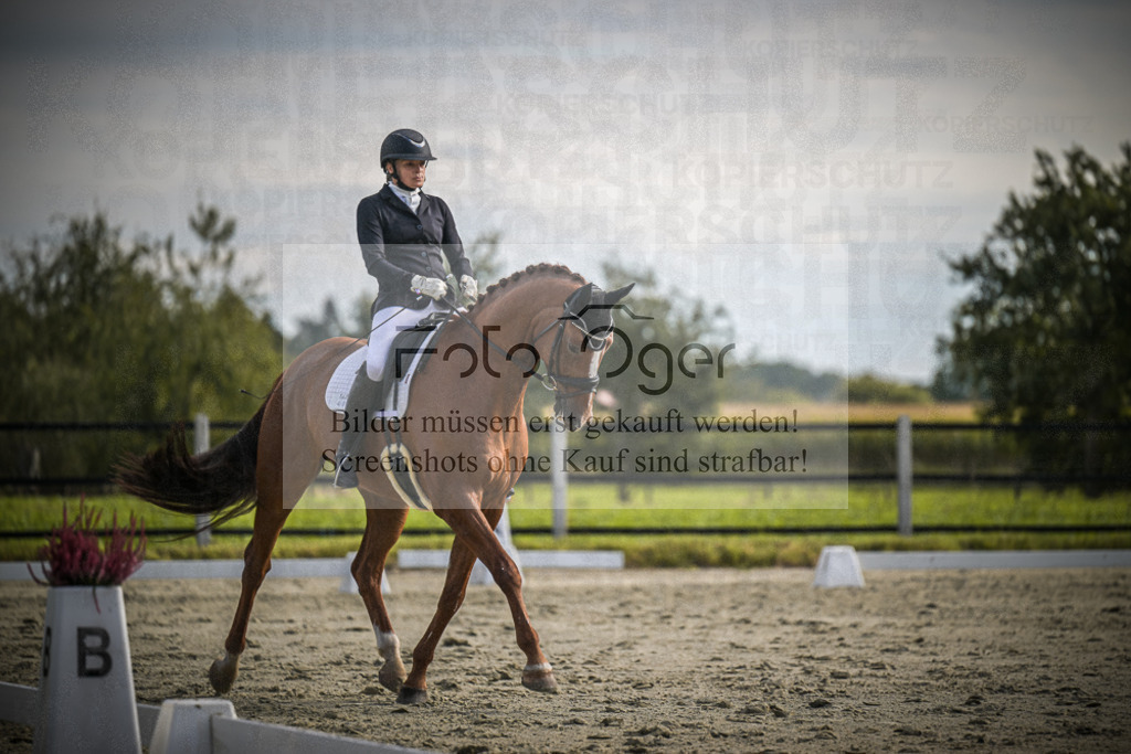 DOS_0955 | Entdecke hochwertige Reitturnierfotos von Foto Oger. Professionell, emotional und authentisch – jetzt Lieblingsmomente im Shop bestellen. - Realisiert mit Pictrs.com