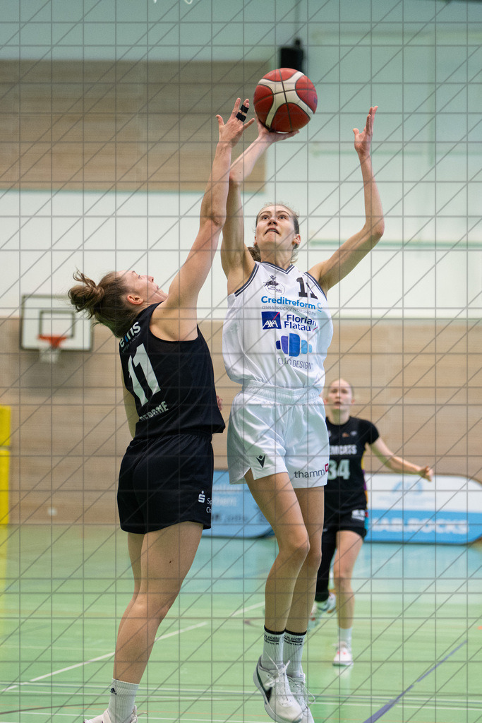 2. DBBL Nord 24/25 | 09.03.2025 | BBC OS vs. ChemCats Chemnitz | 2. DBBL Nord 24/25 | 09.03.2025 | BBC OS vs. ChemCats Chemnitz - - - - - CREDIT, www.bullenfotos.de, Martin König, Hörner Weg 40, D-49078 Osnabrück, +4917663732967, Nutzung und Weitergabe nur zu den vereinbarten Zwecken. Presseanfragen an Urheber. Alle Rechte beim Urheber. - - - - - - Realisiert mit Pictrs.com