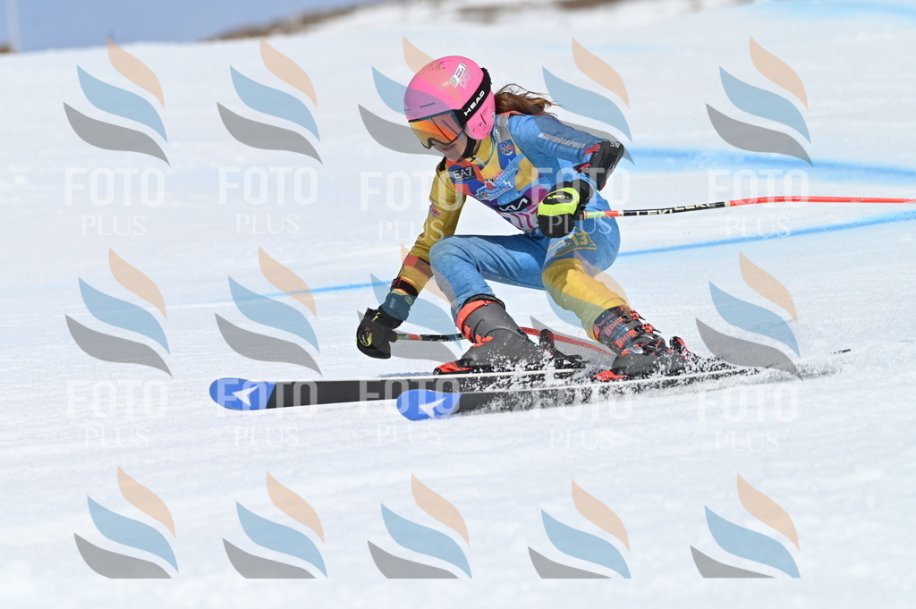 BGV_0565 | holidayphoto