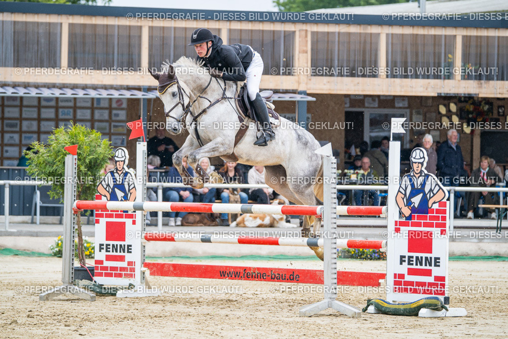 DSC01734 | Pferdegrafie