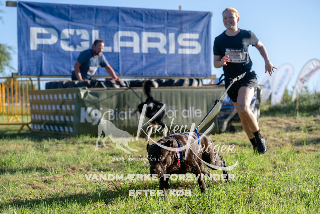 0823_ZZ93519 | kk-dogfotos