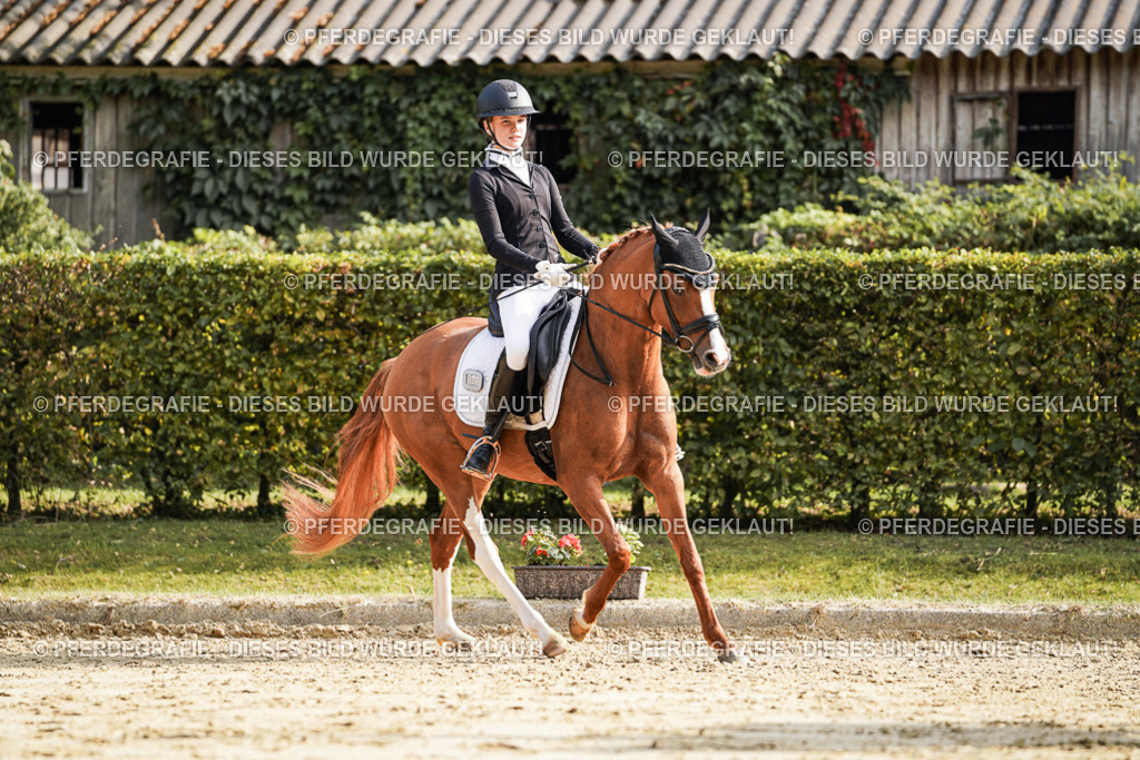 DSC05932 | Pferdegrafie