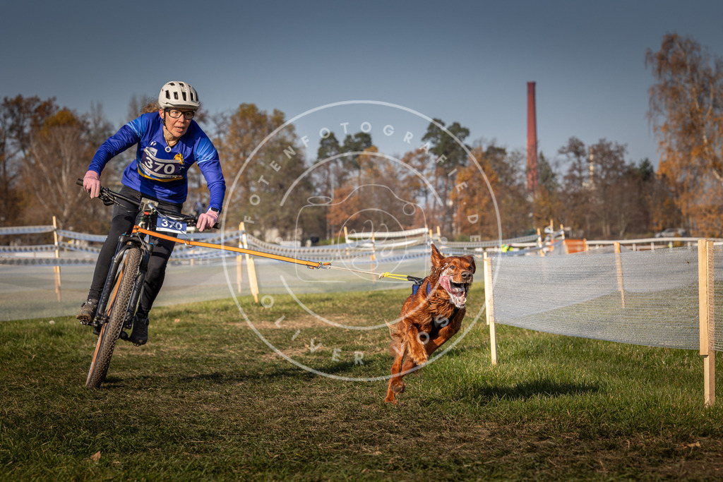 CaniXpix_0L8A7797 | Hundefotografie, Tierfotograf, Pfotenfotografie, Fotoshooting Hund, Hunde Portrait, Hundesport, Hundeportraits, Heideshooting, Hunde, Sportfotograf, Hundefotograf, Turnierhundsport, THS,  - Realisiert mit Pictrs.com