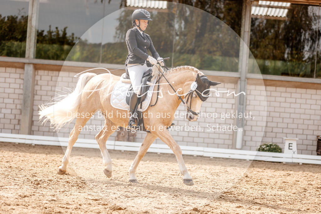 3I6A4320 | Stimmungsvolle Portraits und Reitsportfotografie im Ruhrgebiet und im Münsterland.

Pferdefotografie, Hundefotografie, Tierfotografie, Reportagen, Portraits von Tier und Mensch, Turnierfotografie in Bochum, Recklinghausen, Marl, Haltern am See, Dülmen.. - Realisiert mit Pictrs.com