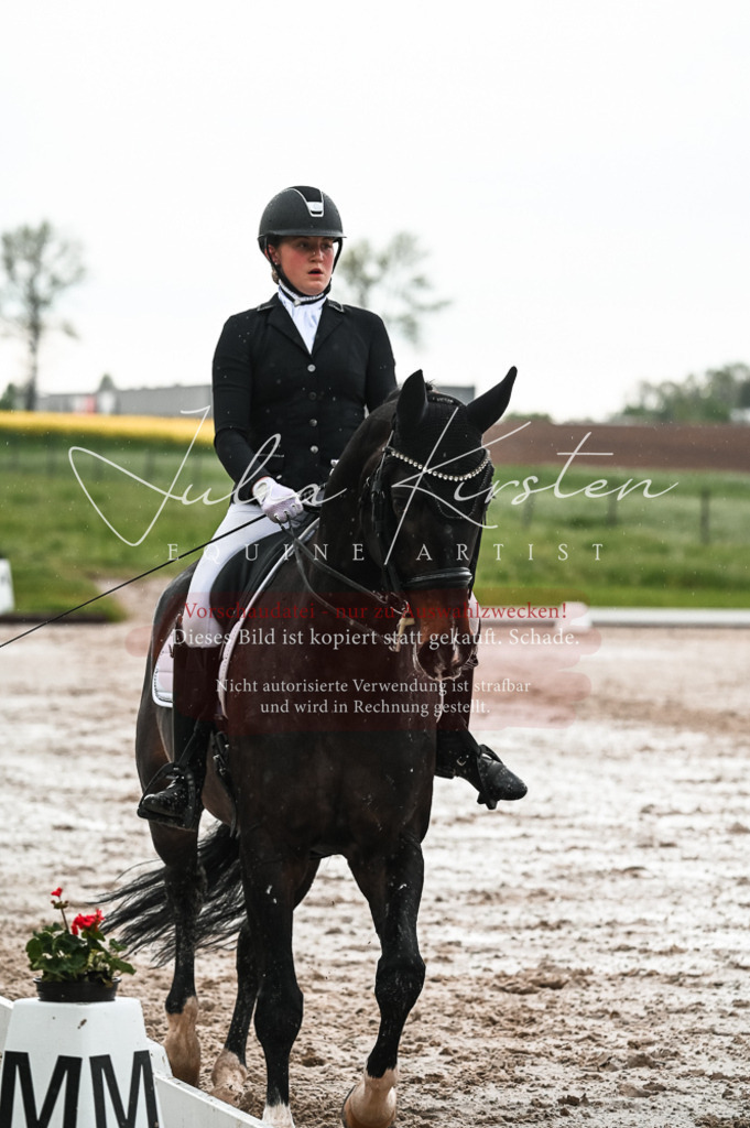 DSC_4340 | Pferde- und Turnierfotografie in Westsachsen. Pferdeportraits, Auftragszeichnungen und intuitive Kunst.
