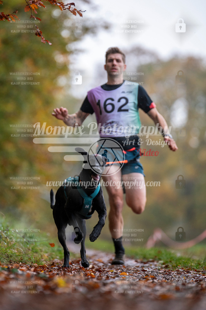 DBT_DAKM_SA_4_11_2023_Canicross-4 | PayLife