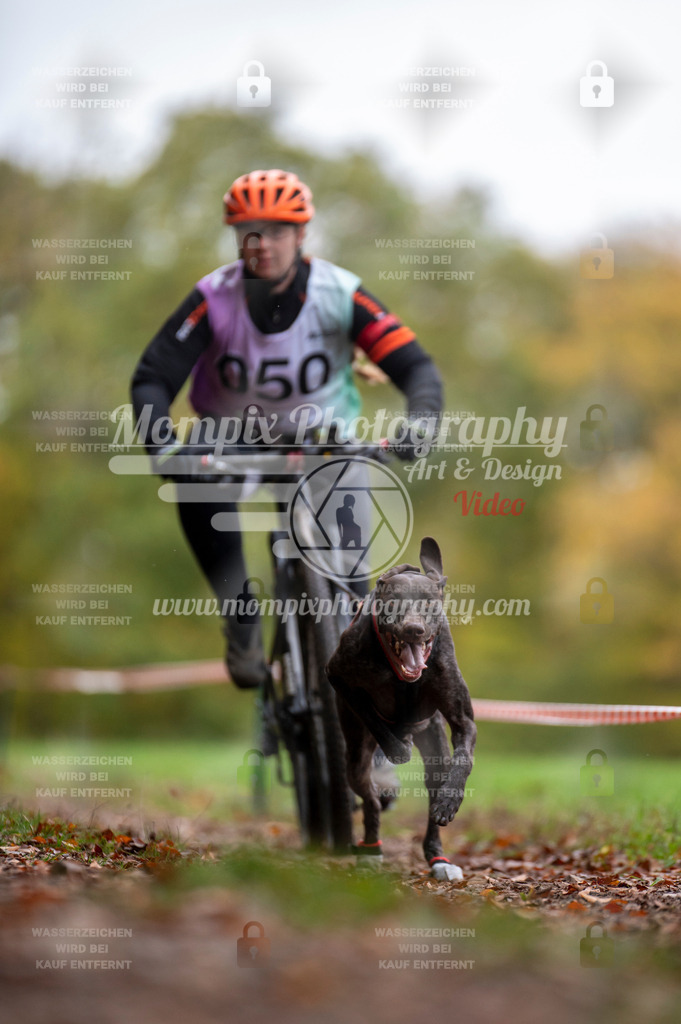 DBT_DAKM_SA_4_11_2023_Bike-21 | PayLife