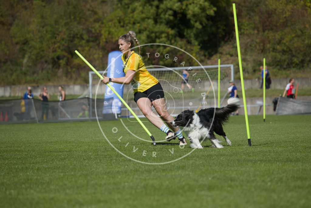 0L8A5851 | Hundefotografie, Tierfotograf, Pfotenfotografie, Fotoshooting Hund, Hunde Portrait, Hundesport, Hundeportraits, Heideshooting, Hunde, Sportfotograf, Hundefotograf, Turnierhundsport, THS,  - Realisiert mit Pictrs.com