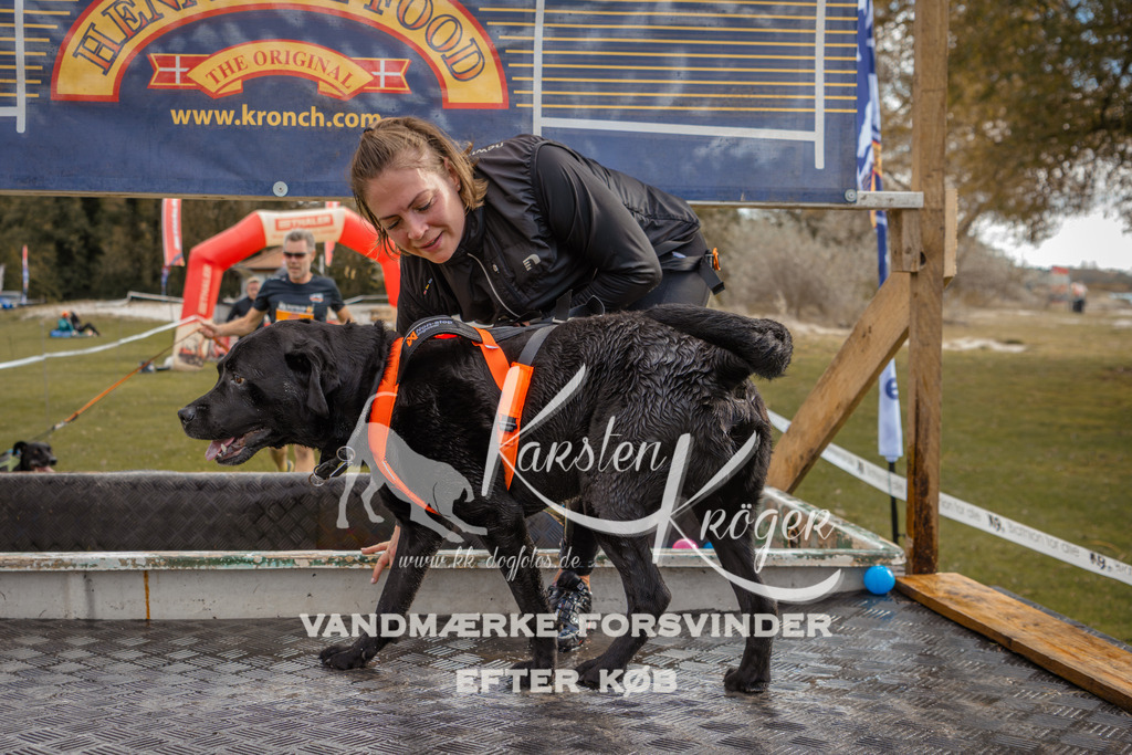 1337_ZZ91658-2 | kk-dogfotos
