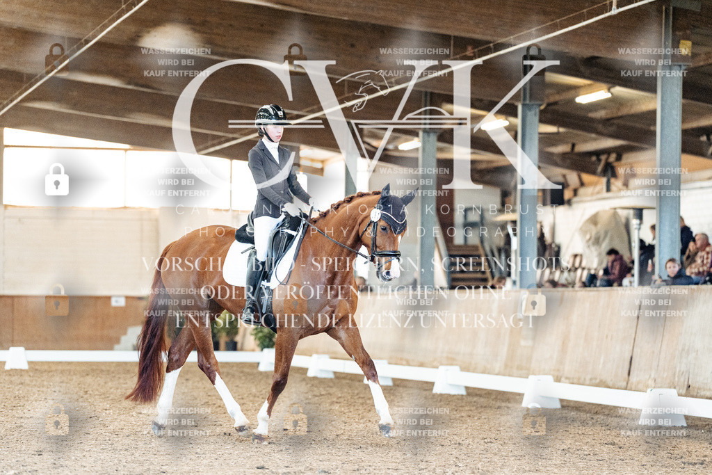 CK909011 | Turnierfotografie Pferdefotografie Trier Rheinland-Pfalz Pferdesport Reitsport Tierfotografie Sportfotografie Pferdevideo Pferdevideografie Equestrianvideography equestrianphotography  - Realisiert mit Pictrs.com