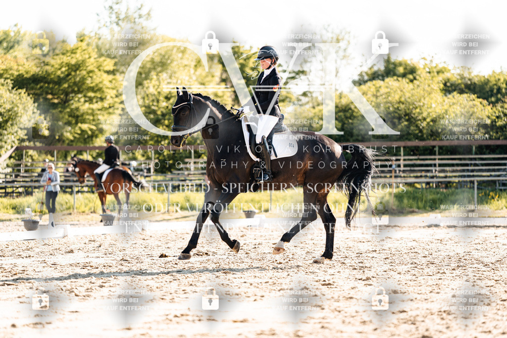 CK909947 | Turnierfotografie Pferdefotografie Trier Rheinland-Pfalz Pferdesport Reitsport Tierfotografie Sportfotografie Pferdevideo Pferdevideografie Equestrianvideography equestrianphotography  - Realisiert mit Pictrs.com