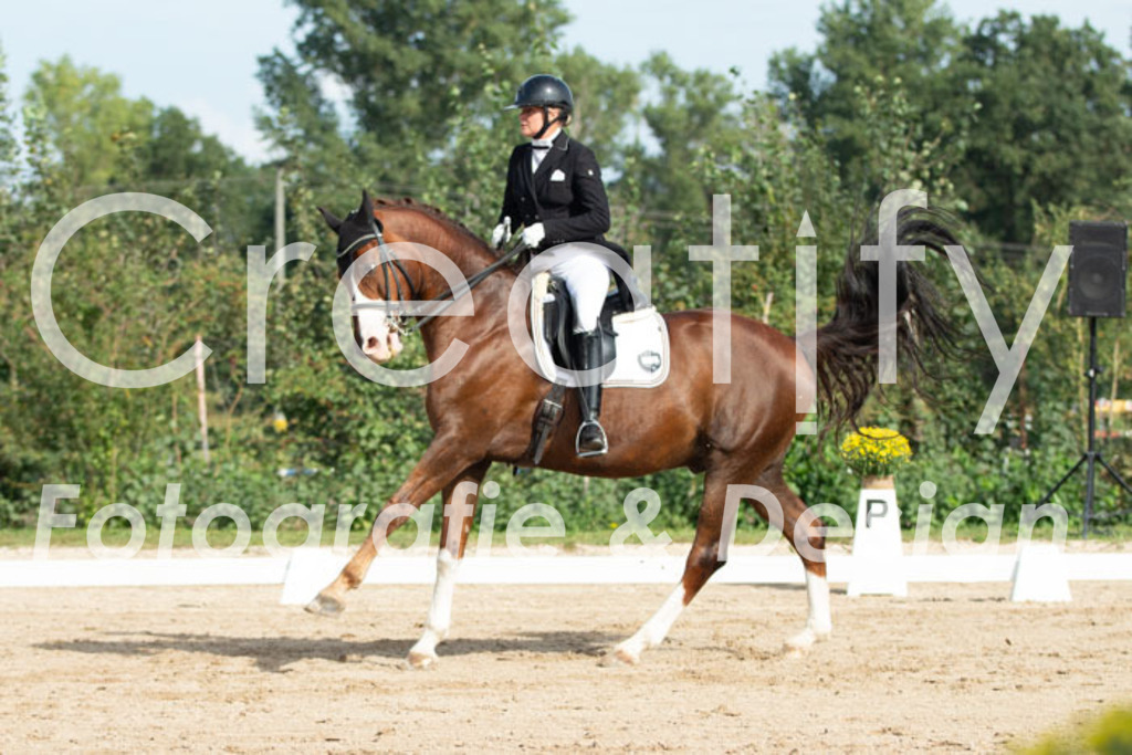 IMG_3939 | Creatify Fotografie