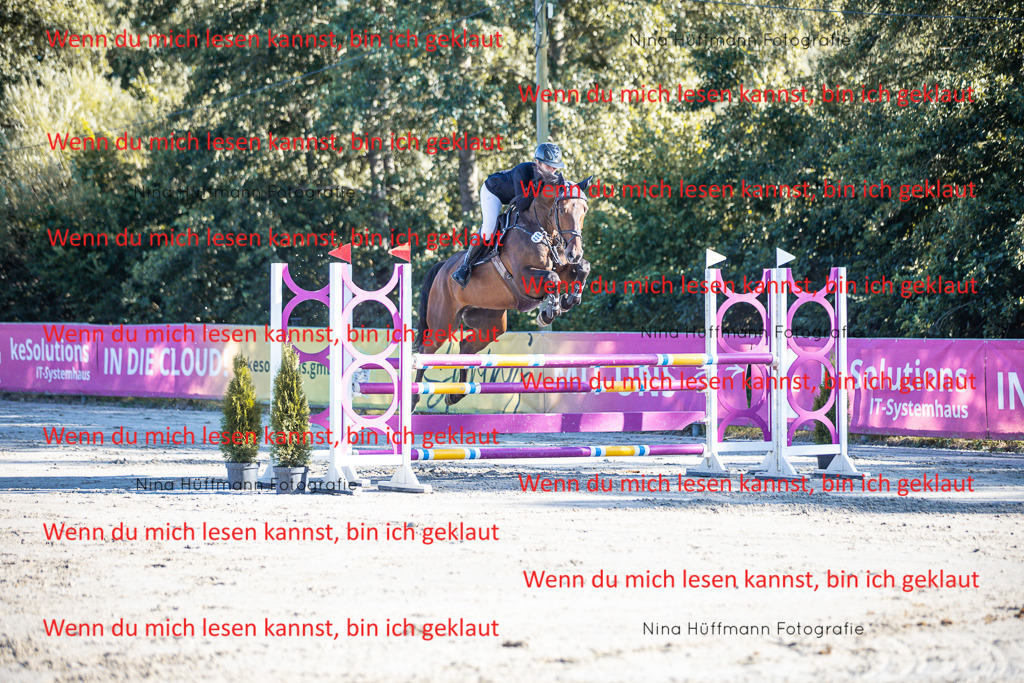 BK1A6046 | Turnierbilder Turnierfotos Nina Hüffmann Turnierfotografie Pferdefotografie Tierzeichnung Haustierzeichnung Pferdezeichnung Hundezeichnung Videograf  - Realisiert mit Pictrs.com