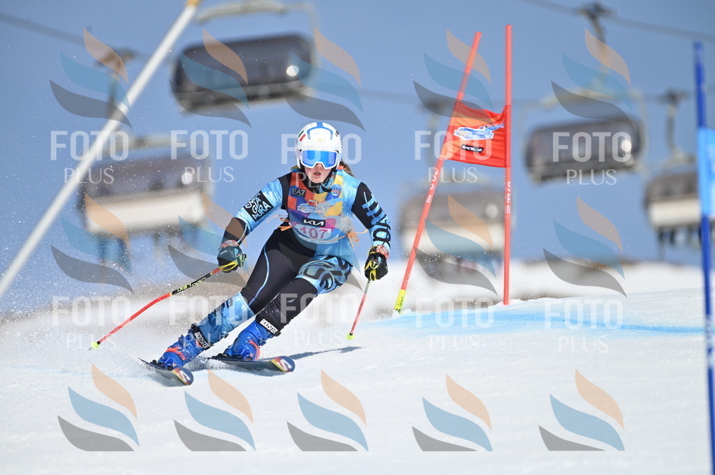 BGV_9579 | holidayphoto