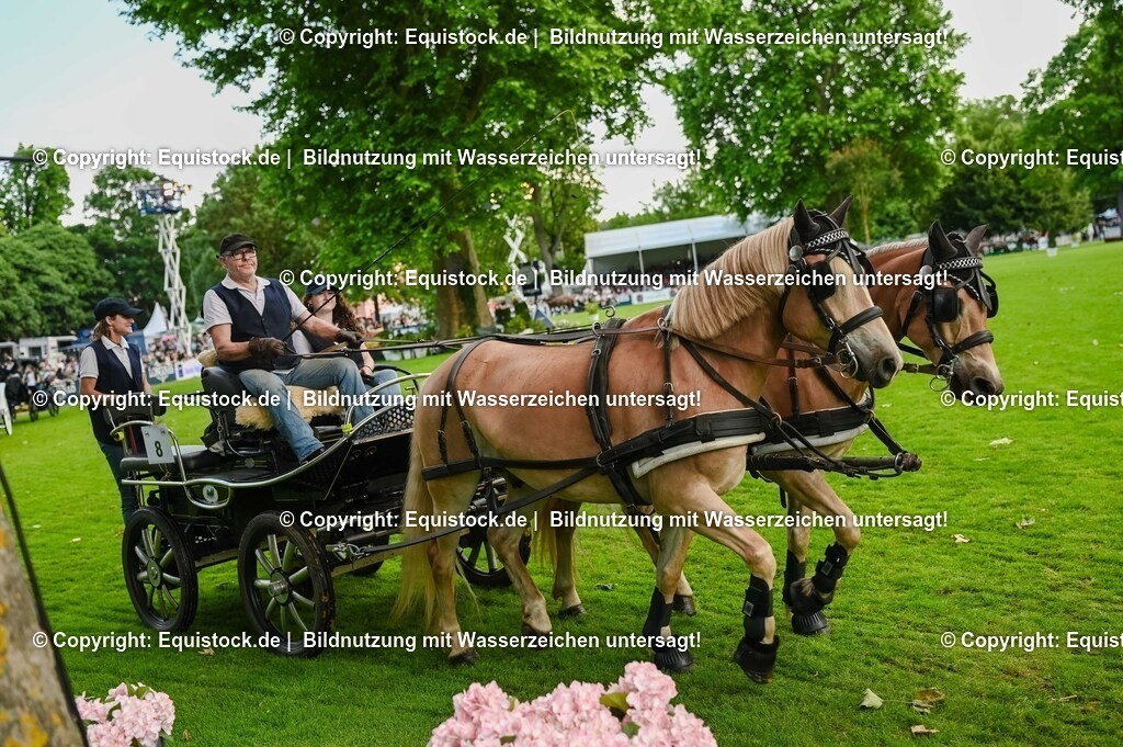 20250606_Lange-Pferdenacht_0141 | Foto: Thomas Hartig