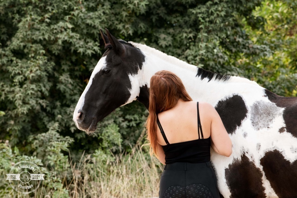 Lieblingsbilder_Photoboo_6 | Pferde- und Hundefotografie in Köln und Umgebung von Vanessza Csuka - Realisiert mit Pictrs.com
