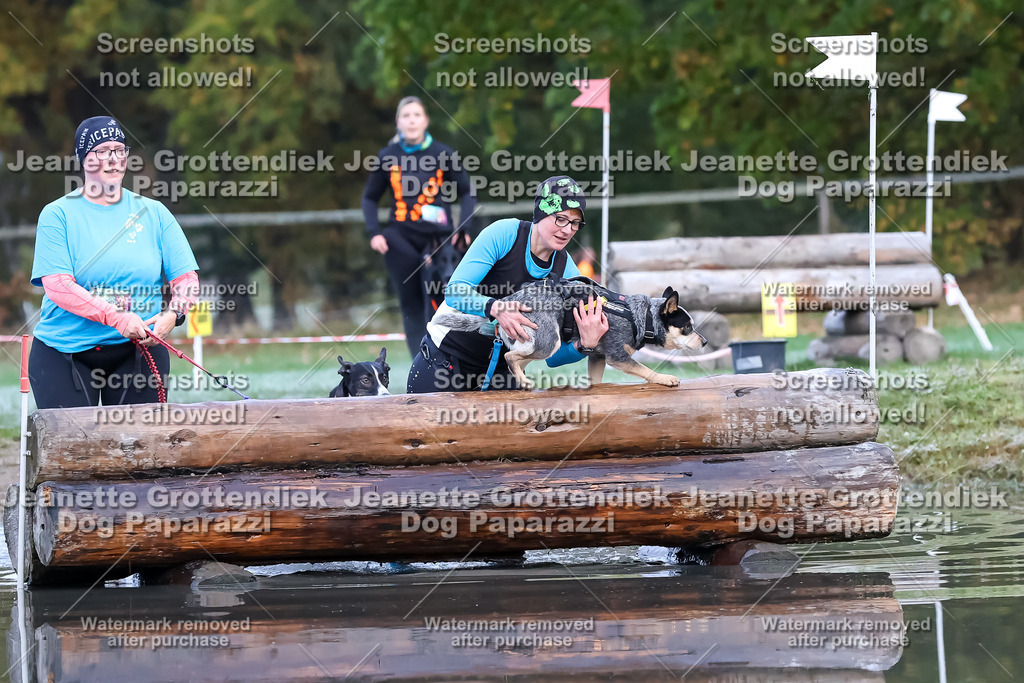 Dog Paparazzi - Strongdog 10-25-6245 | Dog Paparazzi Jeanette Grottendiek Fotografie & Videografie - Realisiert mit Pictrs.com