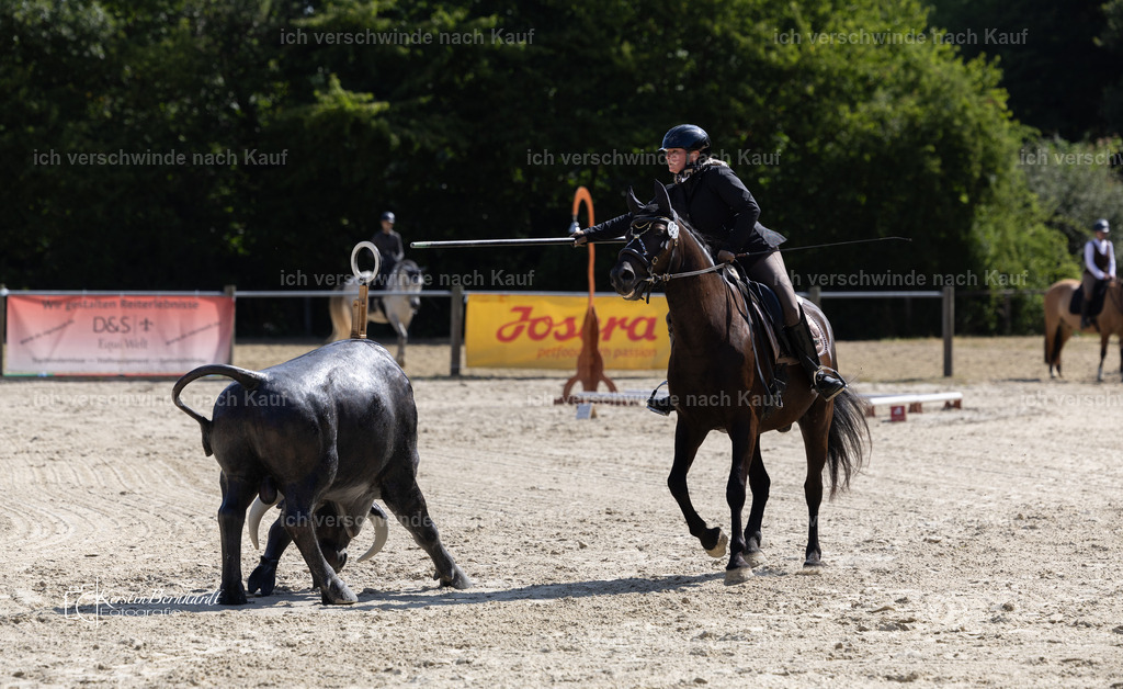 WA_Trail_79_KerstinBernhardt-22 | working equitationturnier fotograf videograf stoibphotography marixx film working equitation deutschland reitsport turnierfotografie eventfotografie equestrian events