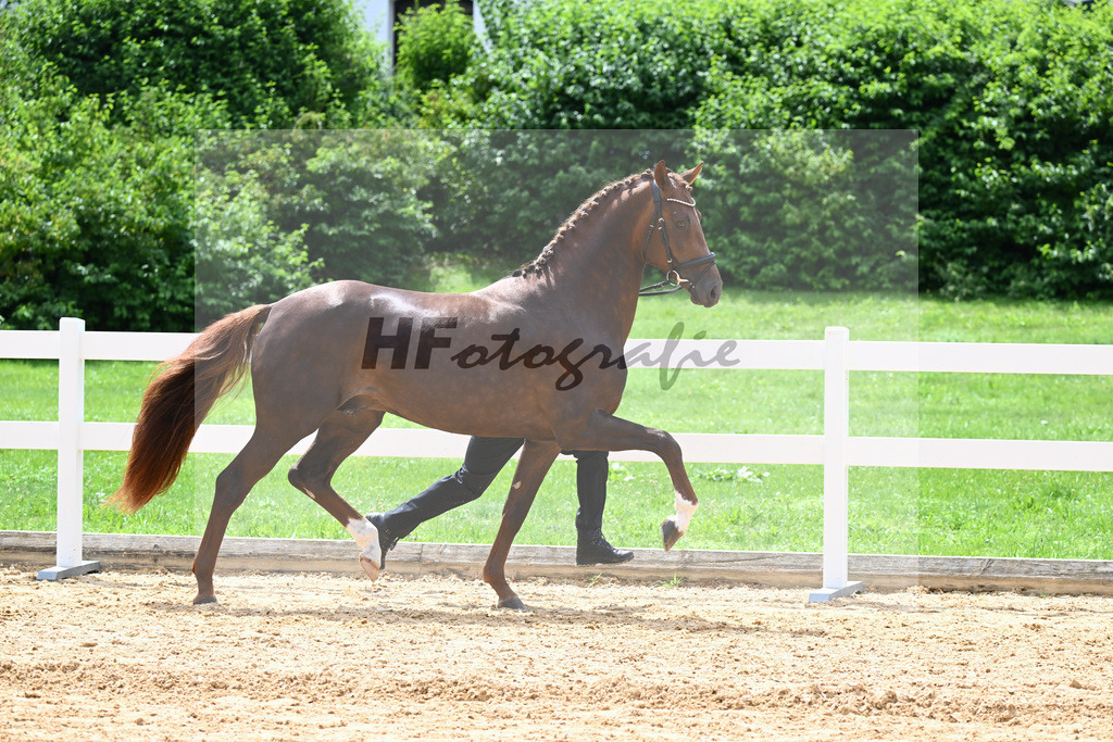 Valenziano_27140737 | hf-fotografie - Realisiert mit Pictrs.com