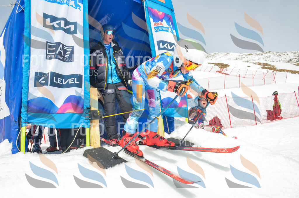 _ELE7818 | holidayphoto