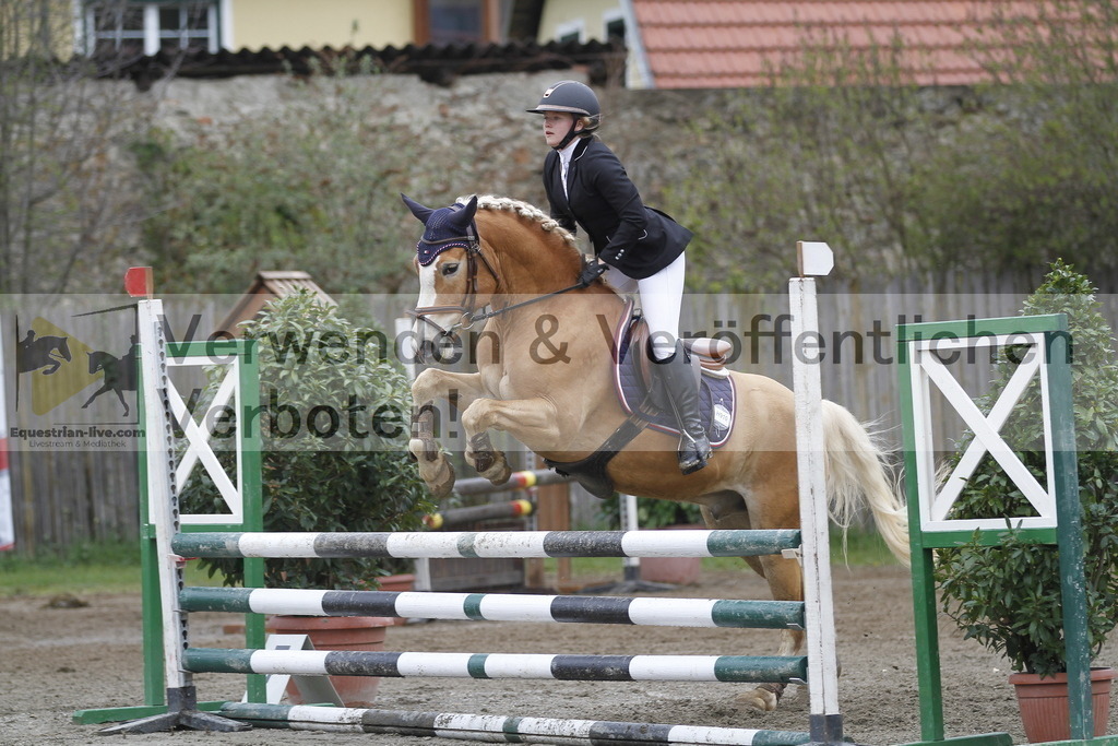 _MG_4549 | equestrian-live-com