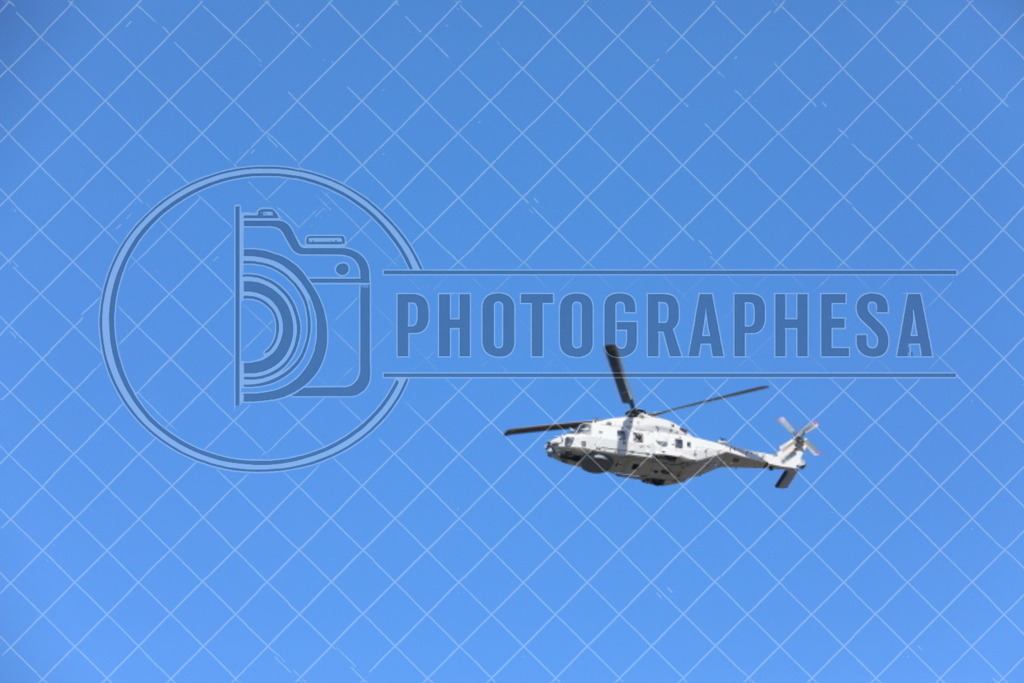 IMG_8851 | photographesa-joergens - Realisiert mit Pictrs.com