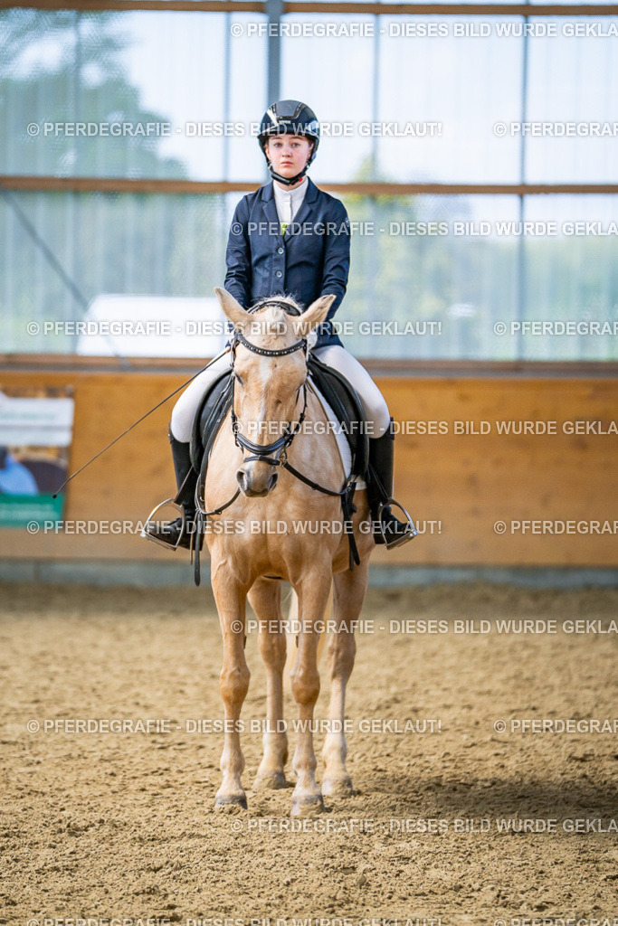 DSC03815 | Pferdegrafie