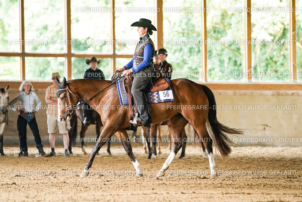 DSC05651 | Pferdegrafie