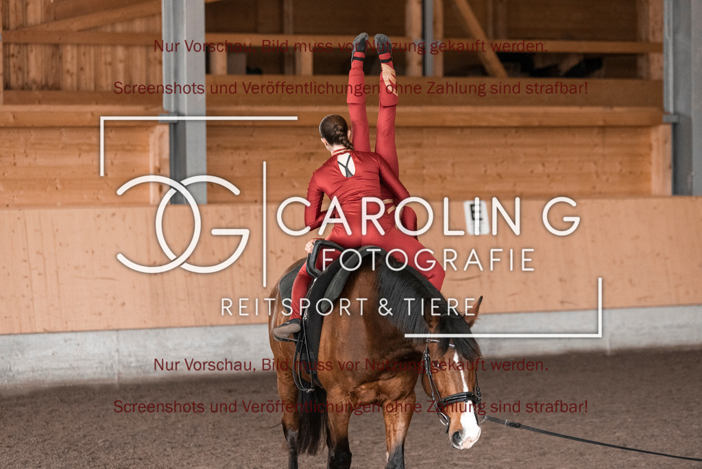 DSC_2065 | Turnierfotografin Carolin Gieschke,Reitsport Turnierfotografie Carolin G Fotografie | Turnierfotos aus Kirchheim/Teck, Esslingen, Stuttgart und dem Bodenseekreis