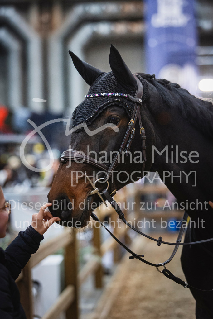 251101_OLD_Amateur-S1-300 | Turnierfotos Oldenburg | Finale Waldbach Amatour Tour