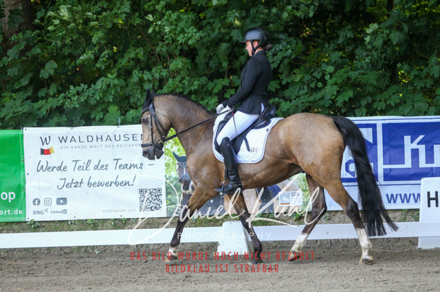 DKP42923 | Turniersportfotografie; Pferdefotografie; Dressurfotografie