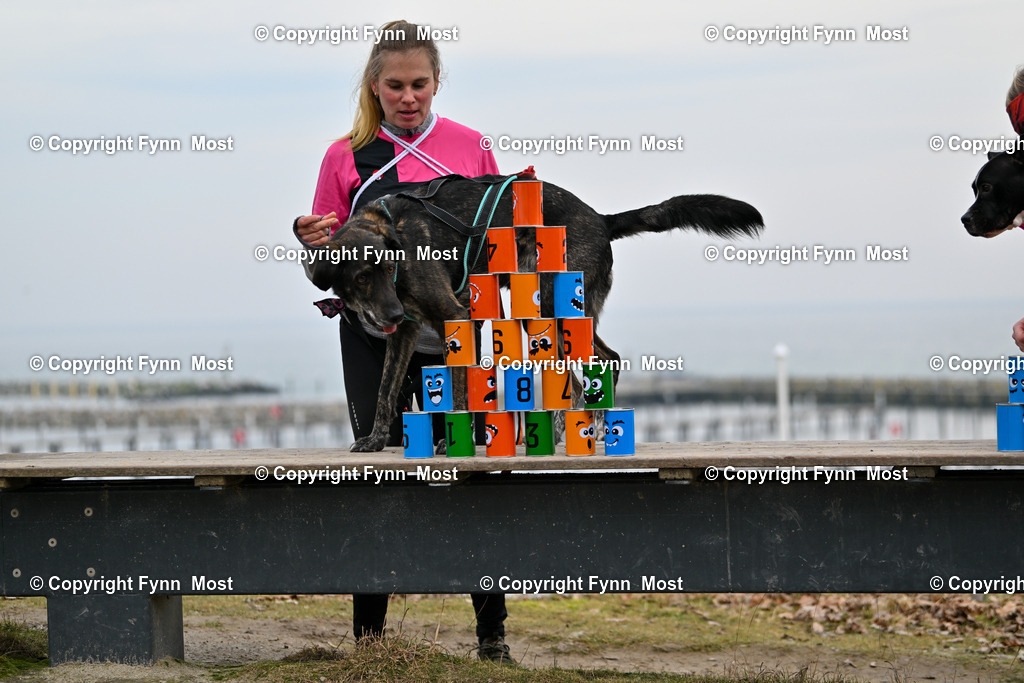 DSC_2601 | Hallo und herzlich Willkommen auf meiner Shop-Seite Fynn Most.

Ich wünsche Dir viel Spaß beim stöbern durch die Bilder, wenn Du Fragen hast oder Bilder vermisst, kannst du mir gerne eine Nachricht schreiben. - Realisiert mit Pictrs.com