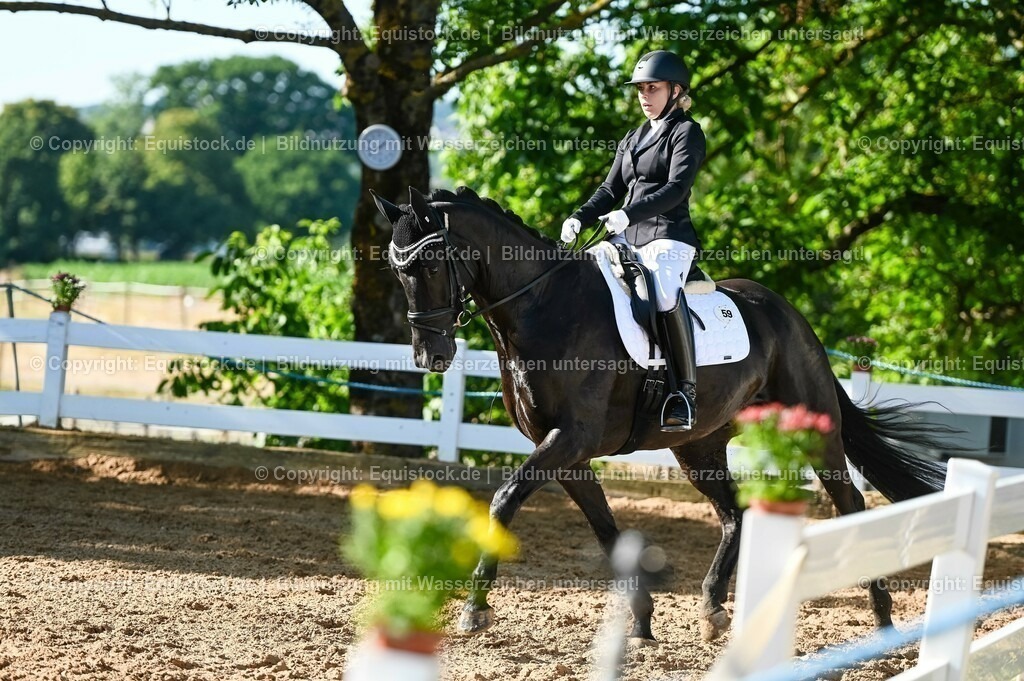 20230715_06_Dressurpferdeprfg. Kl.A_0086 | equistock