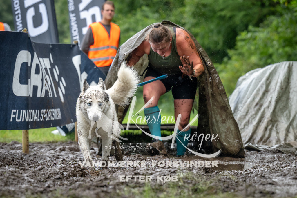 1041_ZZ92674 | kk-dogfotos