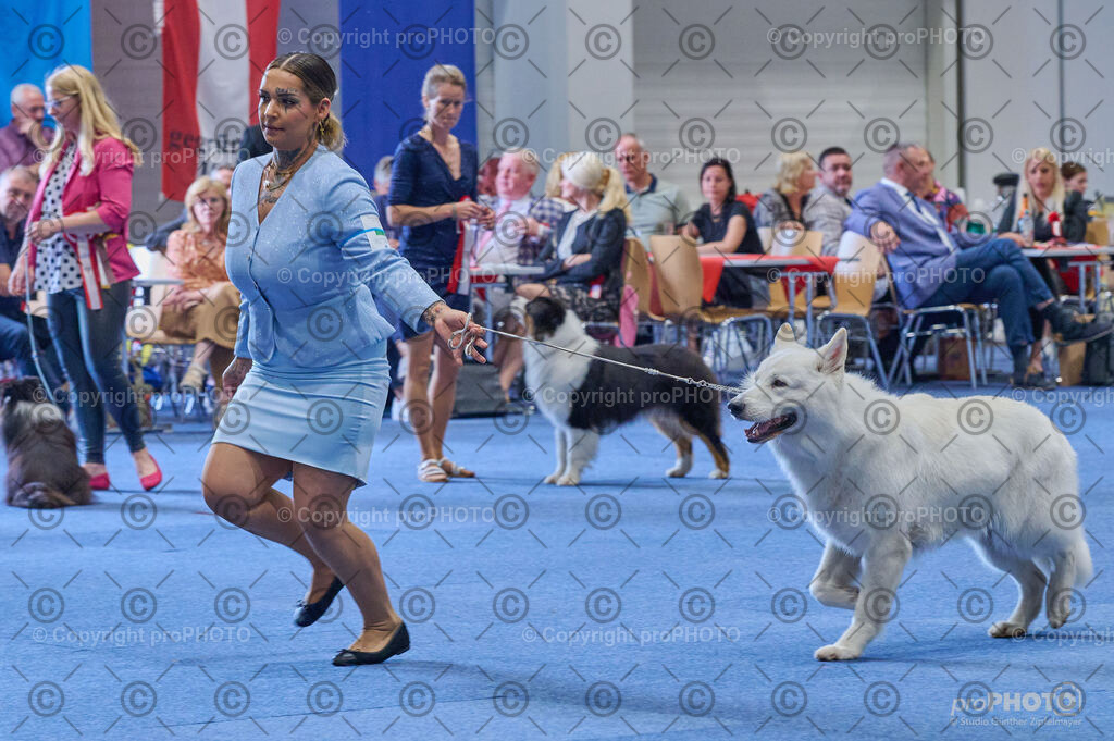 202406_ÖKV-IHA-Tulln24_DSC_4941 | proPHOTO - Realisiert mit Pictrs.com