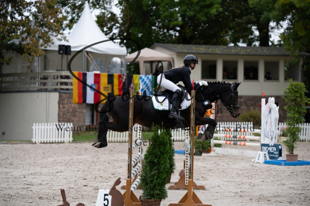 A7V08200 | Pferdefotograf