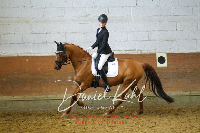 DKP43908 | Turniersportfotografie; Pferdefotografie; Dressurfotografie