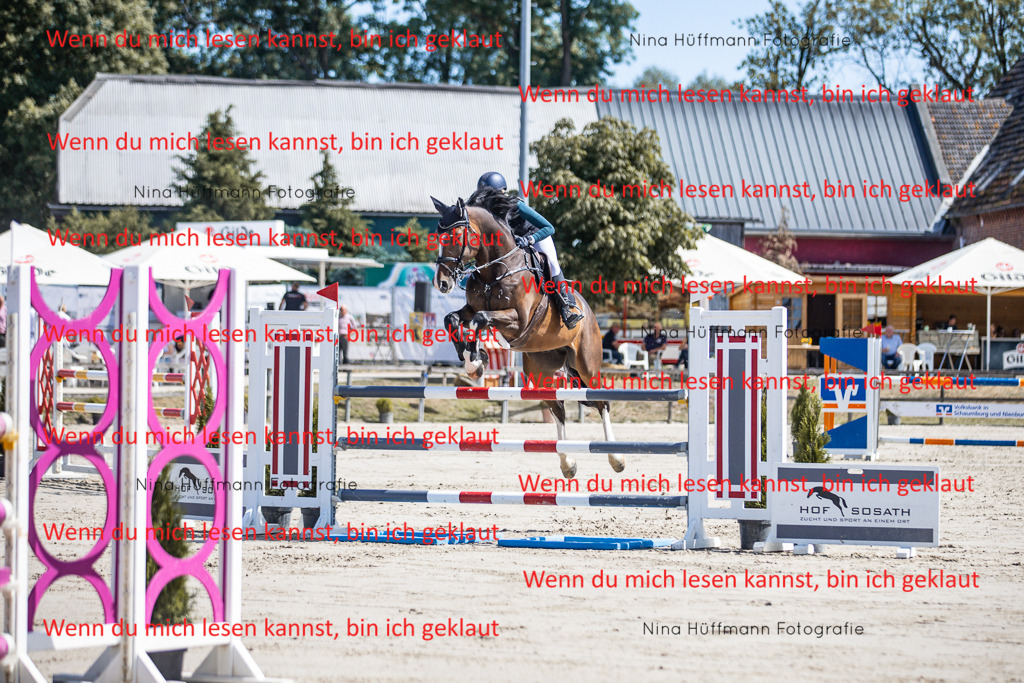 BK1A6615 | Turnierbilder Turnierfotos Nina Hüffmann Turnierfotografie Pferdefotografie Tierzeichnung Haustierzeichnung Pferdezeichnung Hundezeichnung Videograf  - Realisiert mit Pictrs.com