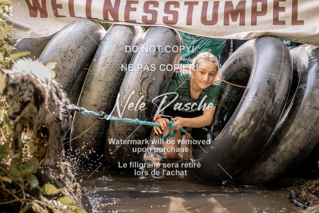 nelerasche_Hunsrück2026_Sa1400-1500_425 | nelerasche