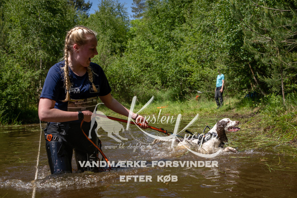 DK K991028141410 | kk-dogfotos