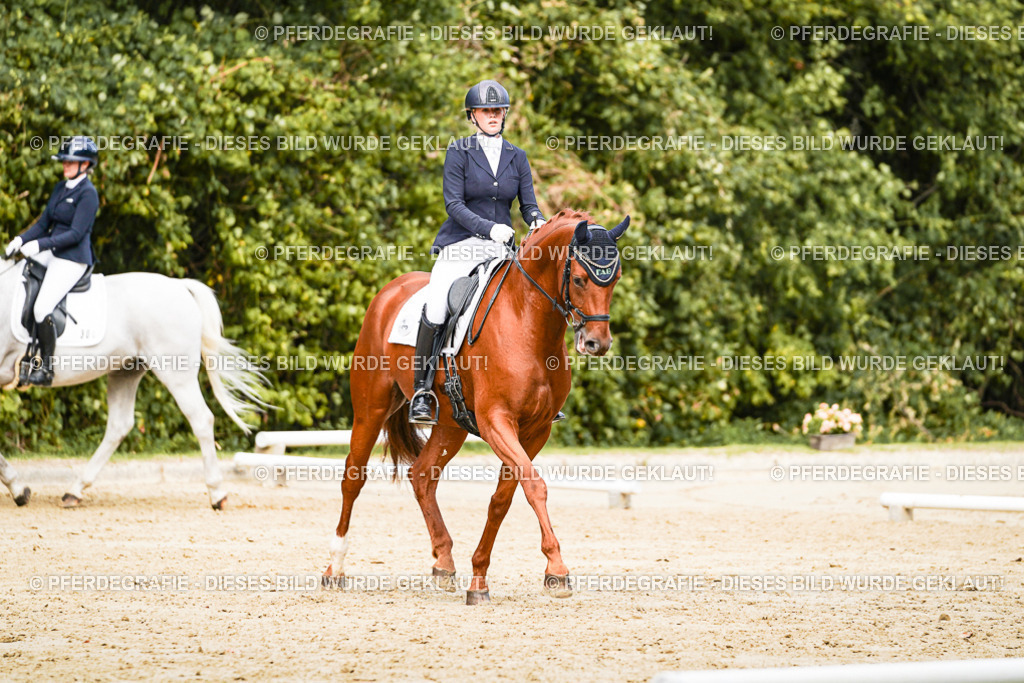 DSC02813 | Pferdegrafie