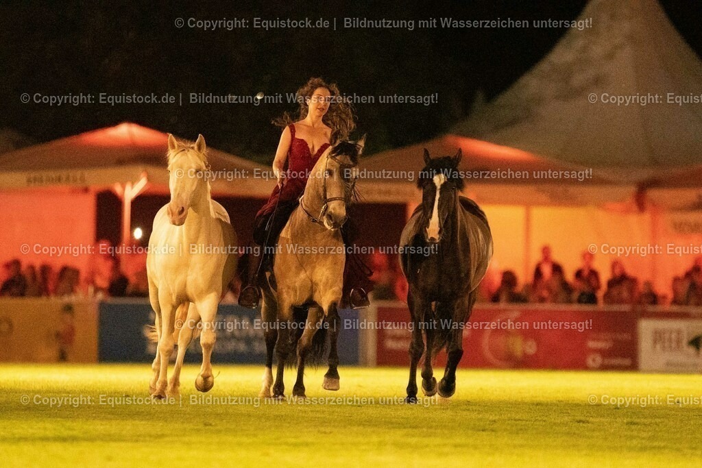 20230526_Pferdenacht_1491 | equistock