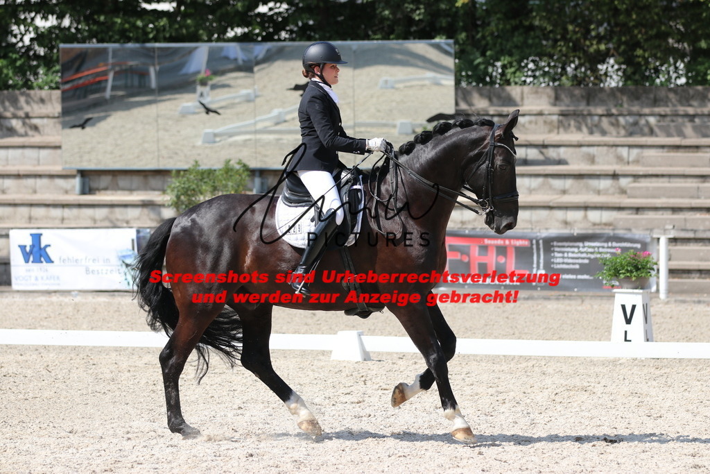 IMG_6894 | lmwpictures - Realisiert mit Pictrs.com