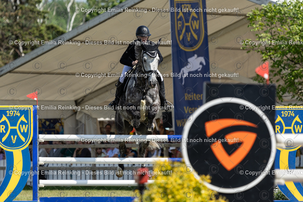 CL5A0128 | Emilia Reinking Fotografie - Realisiert mit Pictrs.com