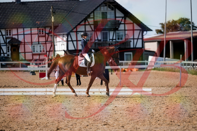 2026_10_03_Siefer-Hof_132902_Z63_90981140 | Professionelle Reitsport-, Turnier- und Eventfotografie von Robert Broda. Galerien mit ausgewählten und bearbeiteten Bildern direkt online ansehen und bestellen.