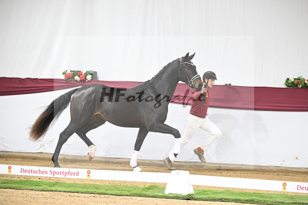 Kat-Nr. 31 In My Mind x Fidertanz_Uwe Kraft_47251035 | hf-fotografie - Realisiert mit Pictrs.com