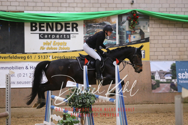 IMG_0755 | Turnierfotos kaufen im Webshop von Daniel Kuhl Photography – entdecke professionelle Reitsportfotos aus Turnieren & Events. Hochwertige Turnierbilder online bestellen & sichern. Jetzt Fotos von Reitsportturnieren kaufen!