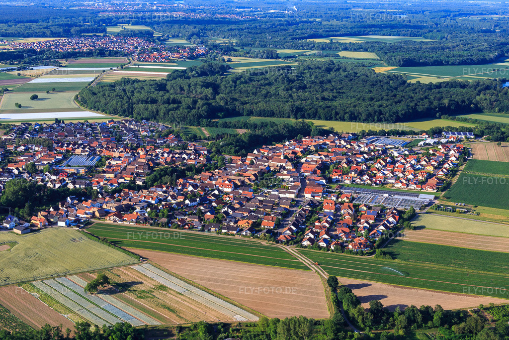 Luftbild: Südring in Kuhardt im Bundesland Rheinland-Pfalz in Deutschland. Foto: IMG_080733.jpg vom 13.06.2015 durch Werner Riehm/FLY-FOTO.de